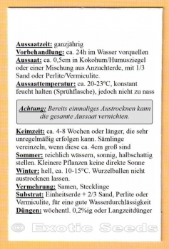 Preview: Maclura tinctoria, Färbermaulbeerbaum, Mulberry, Moral fino, 20 Samen